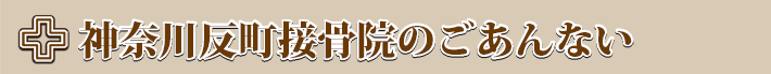 神奈川反町接骨院のごあんない
